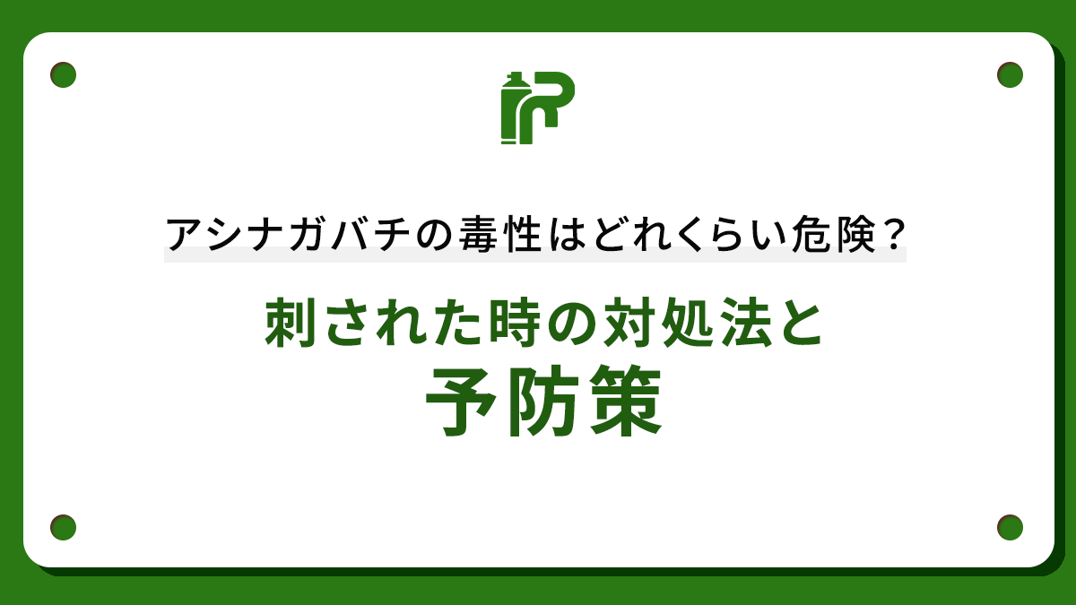アシナガバチの毒性はどれくらい危険？刺された時の対処法と予防策