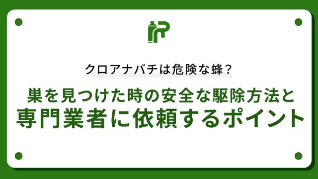クロアナバチは危険な蜂？巣を見つけた時の安全な駆除方法と専門業者に依頼するポイント