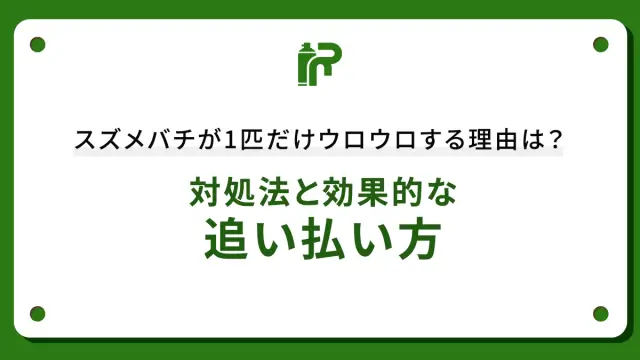スズメバチが1匹だけウロウロする理由は？対処法と効果的な追い払い方