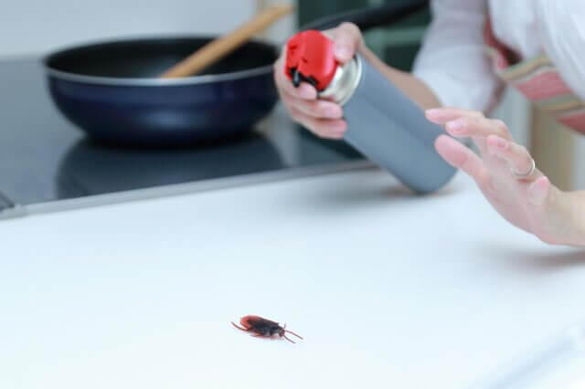 鉄フライパンにゴキブリが寄ってくるのはなぜ？