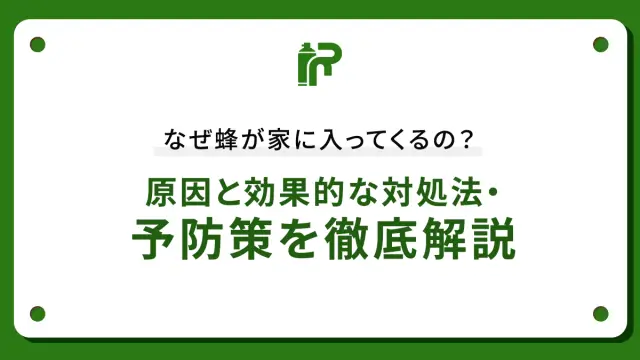なぜ蜂が家に入ってくるの？原因と効果的な対処法・予防策を徹底解説