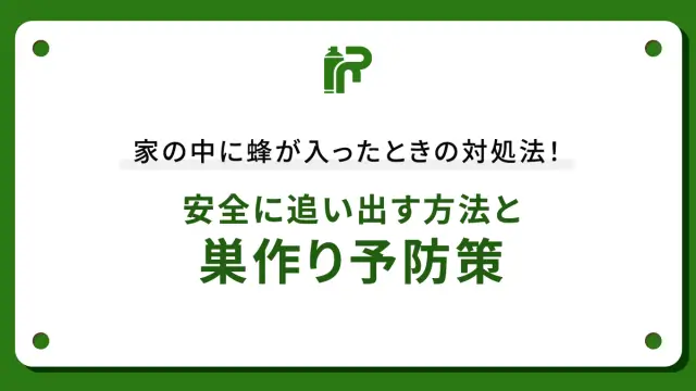家の中に蜂が入ったときの対処法！安全に追い出す方法と巣作り予防策