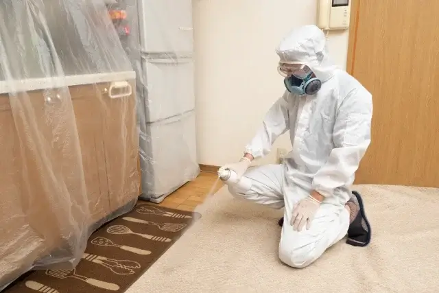 もしゴキブリのサインを見つけたら…冷静な初期対応と次のステップ