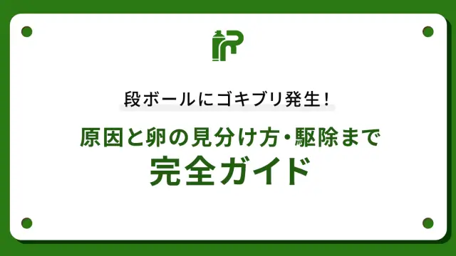 段ボールにゴキブリ発生！原因と卵の見分け方・駆除まで完全ガイド