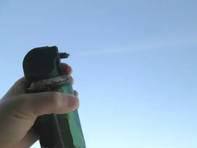 自分で蜂の巣を駆除する安全対策と注意点