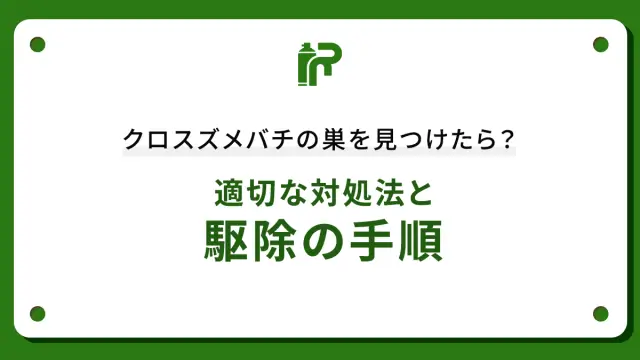 クロスズメバチの巣を見つけたら？適切な対処法と駆除の手順