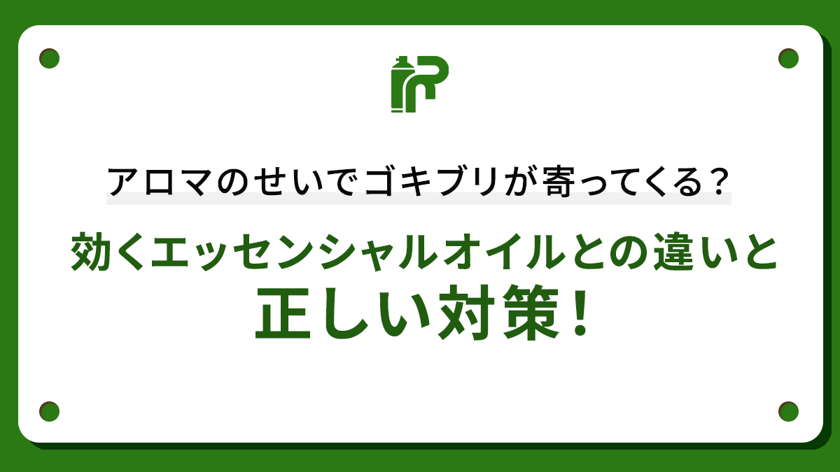 アロマのせいでゴキブリが寄ってくる？効くエッセンシャルオイルとの違いと正しい対策！