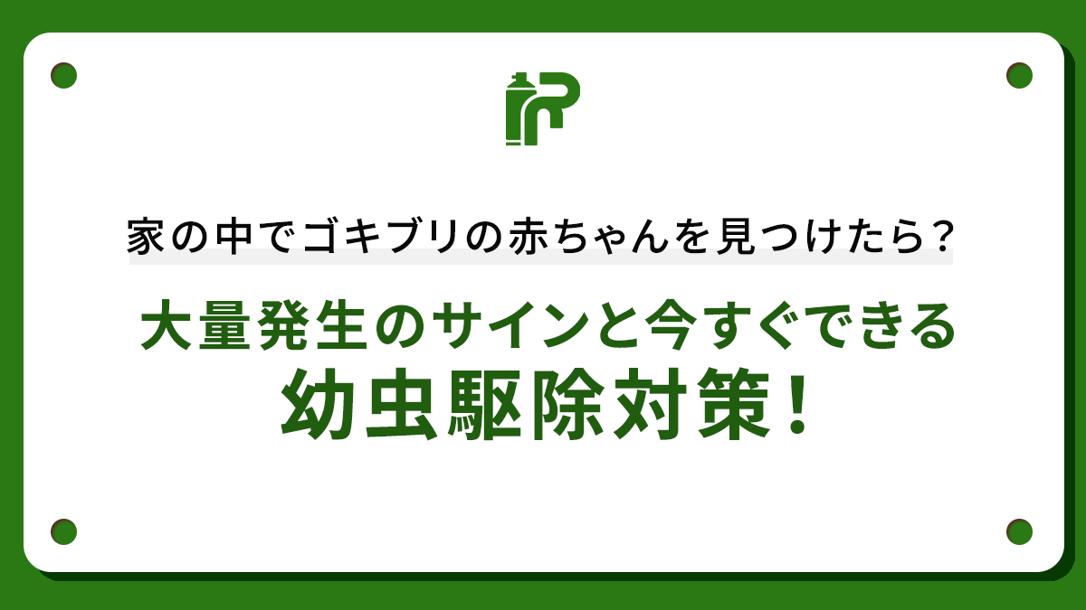 家の中でゴキブリの赤ちゃんを見つけたら？大量発生のサインと今すぐできる幼虫駆除対策！