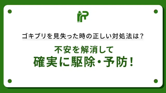 ゴキブリを見失った時の正しい対処法は？不安を解消して確実に駆除・予防！