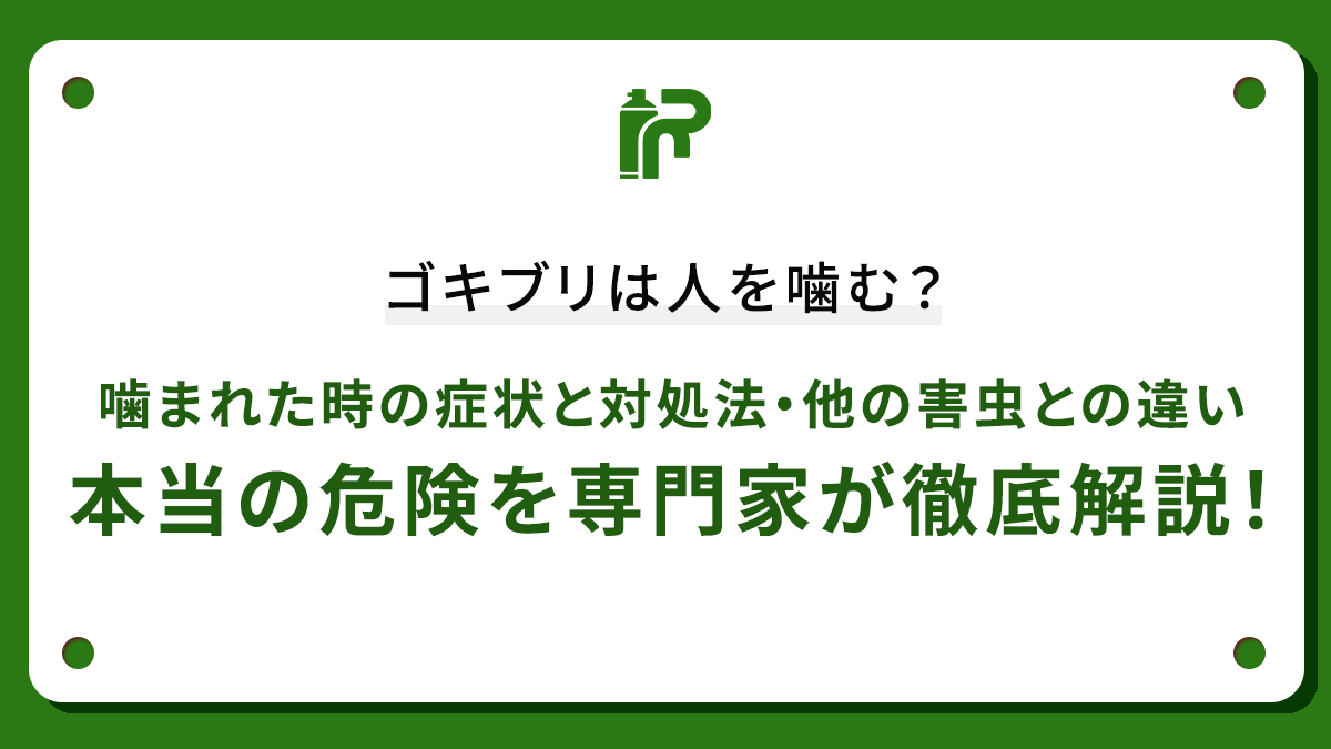 ゴキブリは人を噛む？噛まれた時の症状と対処法・他の害虫との違い・本当の危険を専門家が徹底解説！