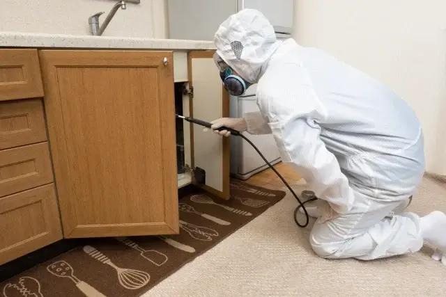 DIYでは限界。専門業者を呼ぶべきサイン