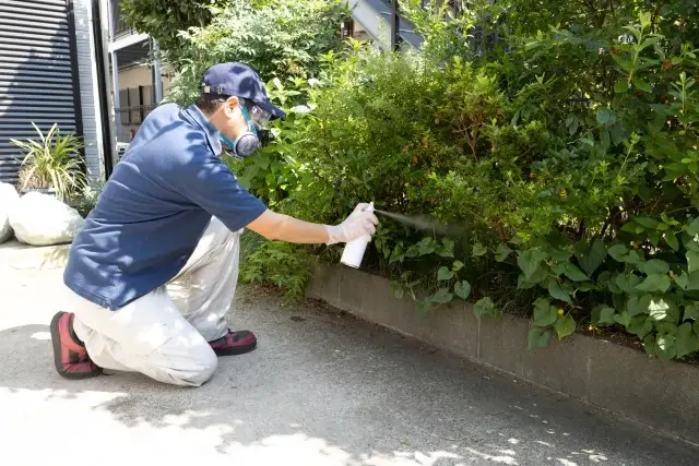信頼できる駆除業者の選び方と費用相場