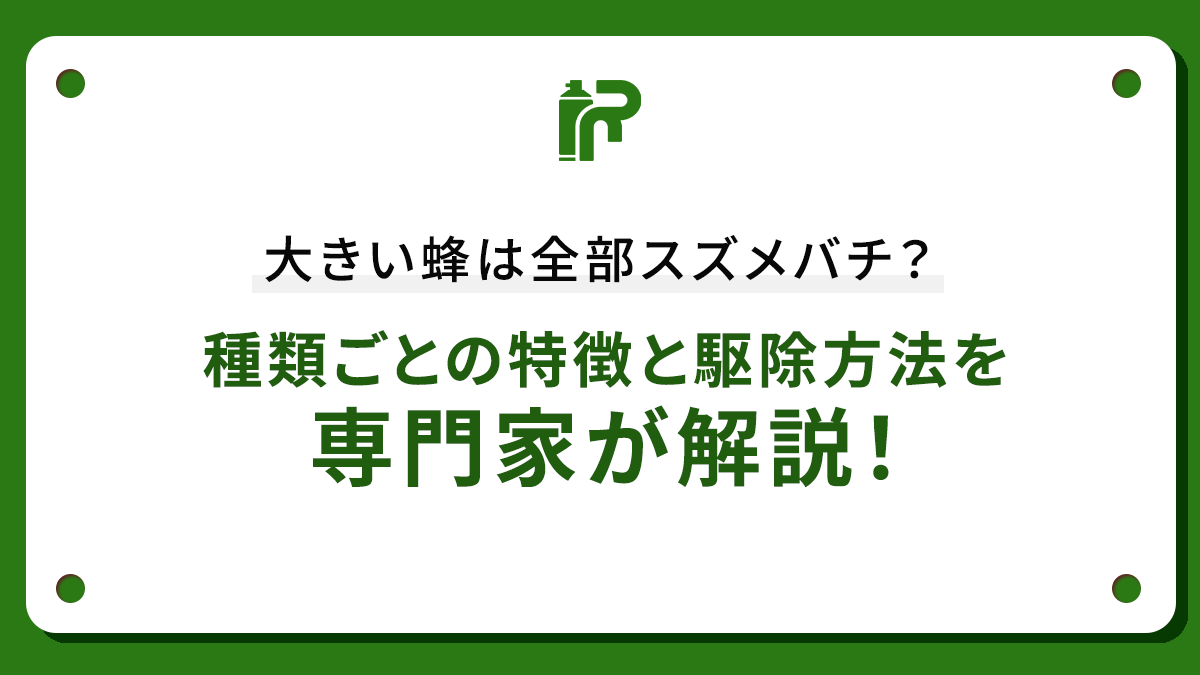 大きい蜂は全部スズメバチ？種類ごとの特徴と駆除方法を専門家が解説！