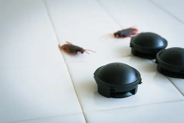 人工芝のゴキブリ対策に使える市販の薬剤の種類は？