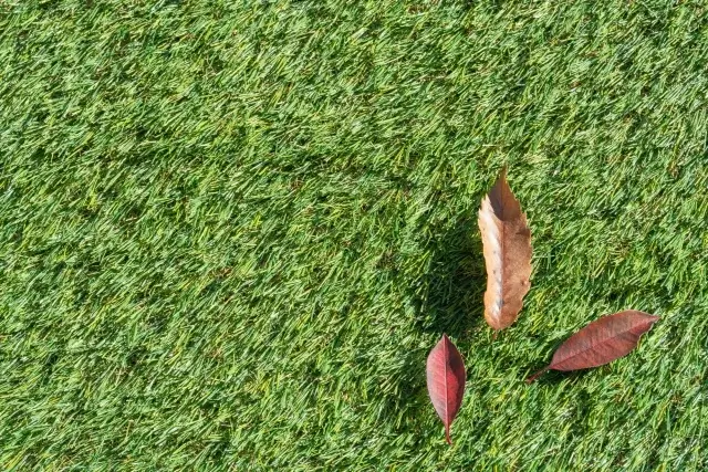 薬剤を使わずに人工芝のゴキブリを安全に駆除・予防する方法は？