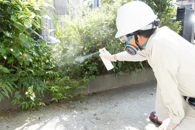 人工芝のゴキブリ駆除は市販品と専門業者どちらがおすすめ？