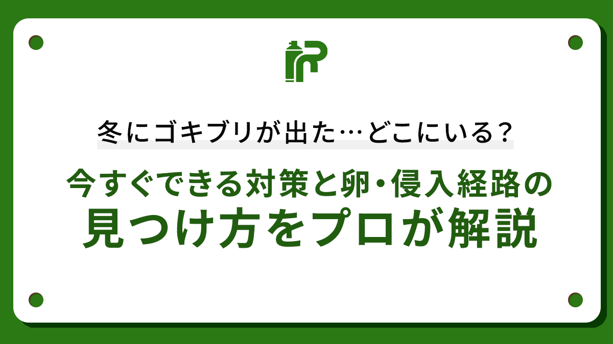 冬にゴキブリが出た…どこにいる？今すぐできる対策と卵・侵入経路の見つけ方をプロが解説