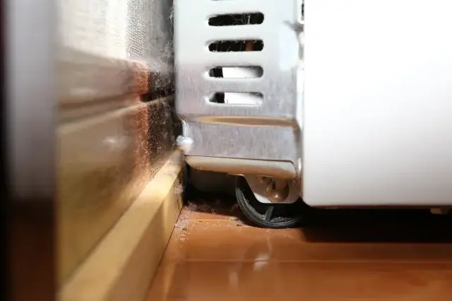 冬にゴキブリが出るのはなぜ？冬眠しないって本当？