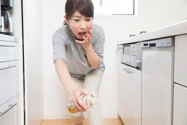 卵・幼虫・フン…“痕跡”が見つかったときの対処方法