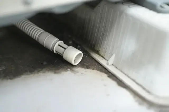 一戸建て新築でゴキブリが潜みやすい場所と見つけ方