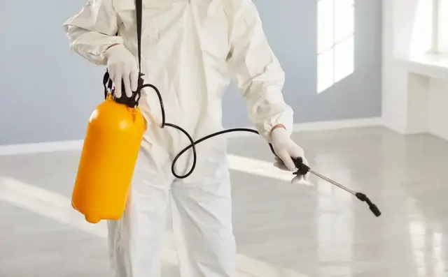 バルサンで対処しきれないケースと専門業者に依頼すべき理由は？