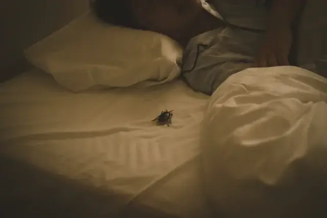 今夜すぐできるゴキブリへの応急処置は?