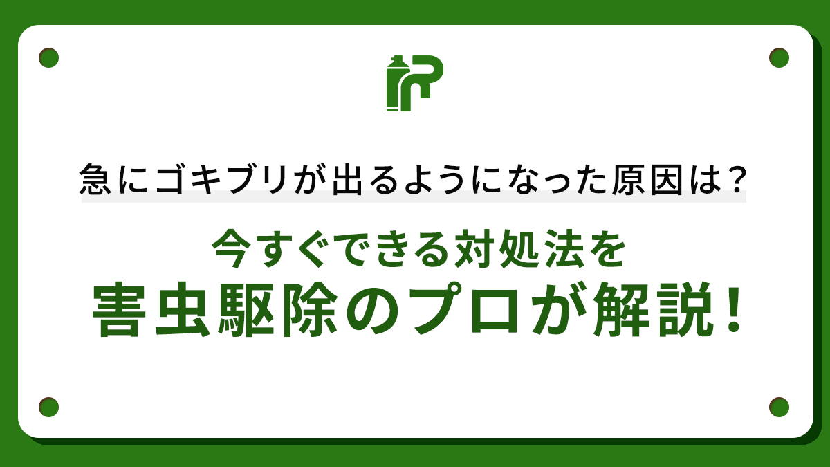 急にゴキブリが出るようになった原因は？今すぐできる対処法を害虫駆除のプロが解説！