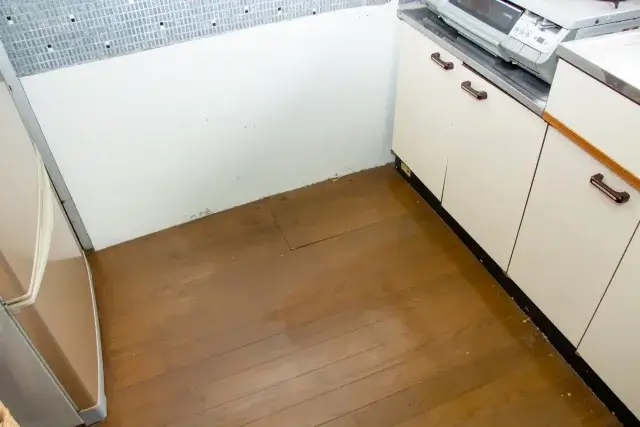 ゴキブリが住みつく場所の見つけ方は?