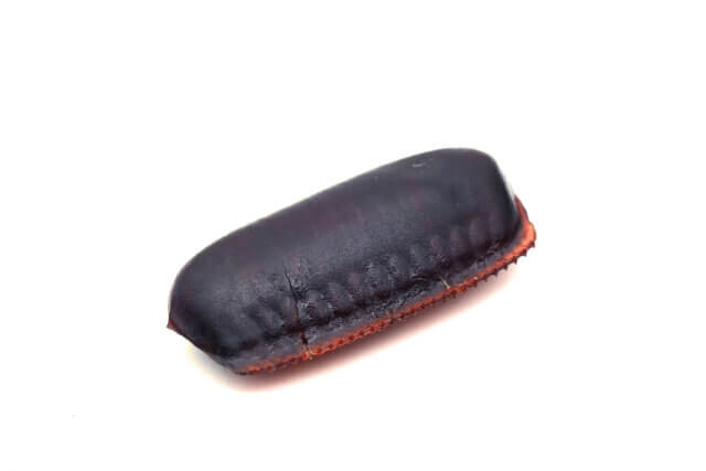 ゴキブリが死ぬときに卵を産む噂の真偽は？