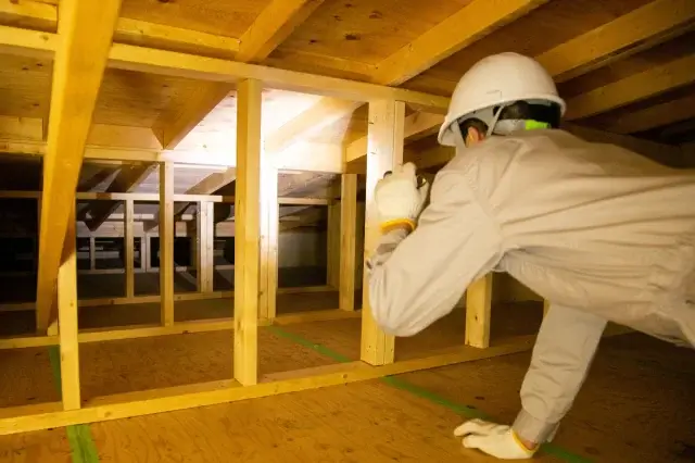 天井裏のゴキブリを自分で駆除するときの限界とプロに頼む目安は？