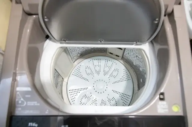 洗濯機のゴキブリはどこから入ってくる？
